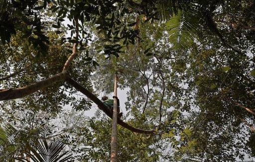 Biodiversidade inspira consórcio brasileiro na busca por novos remédios